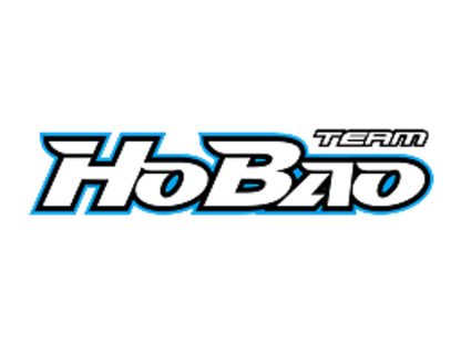Hobao Hyper SS Brushless Truggy 6S 150A RTR
